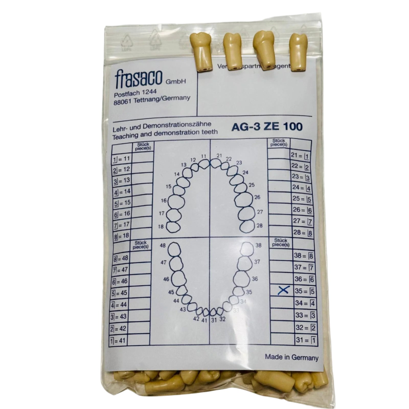 Frasaco Typodont AG3 Teeth