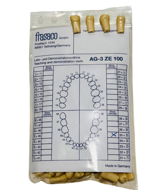 Frasaco Typodont AG3 Teeth