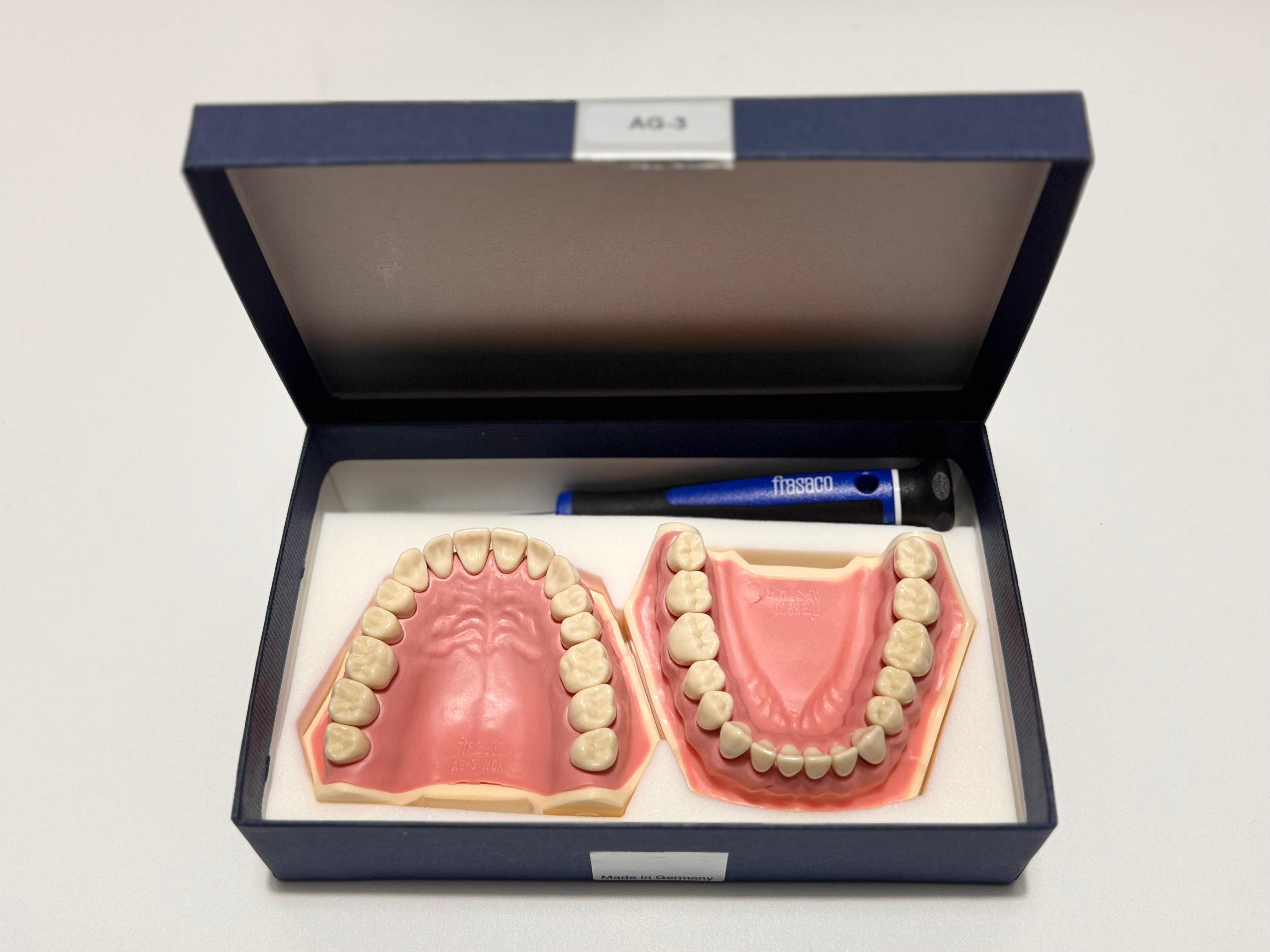 Frasaco AG-3 Jaws (32 - Teeth)