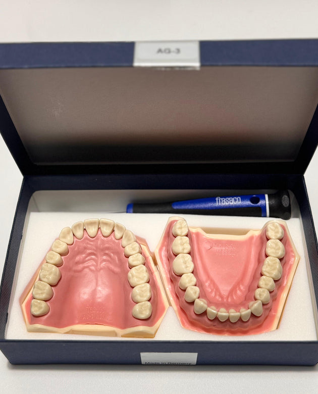 Frasaco AG-3 Jaws (32 - Teeth)