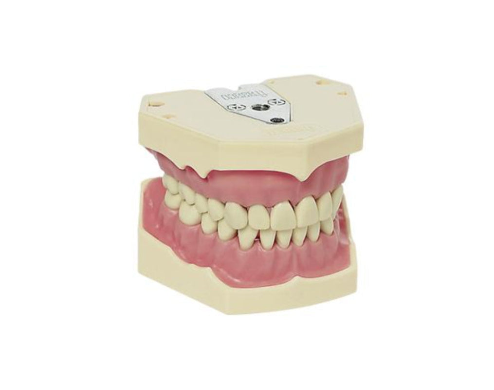 Frasaco AG-3 Jaws (32 - Teeth)